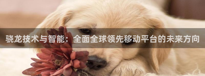 壹号注册入口app下载