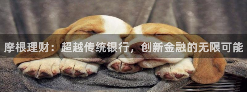 壹号平台下载
