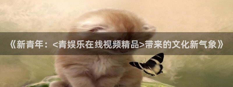 壹号大舞台下载
