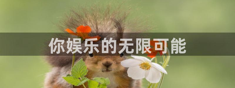 壹号平台app下载安装