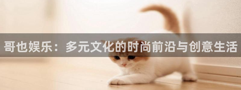 壹号电子娱乐app下载最新版