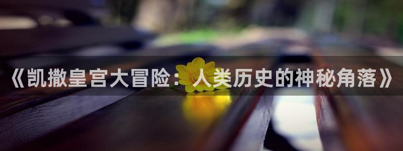 耀世娱乐app下载安装