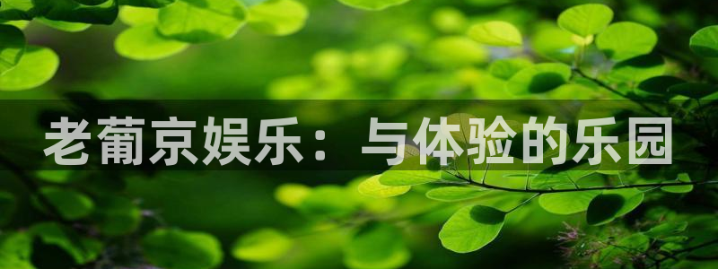 壹号大舞台娱乐传媒