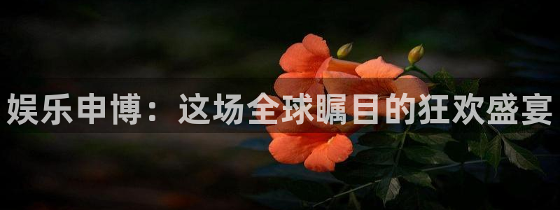 壹号平台app下载安装：娱乐申博：这场全球瞩目的狂欢盛宴