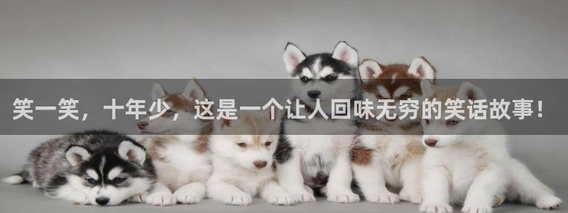 耀世娱乐怎么下载