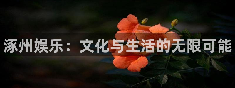 耀世娱乐app下载