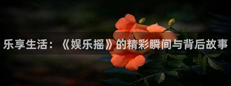 耀世娱乐下载：乐享生活：《娱乐摇》的精彩瞬间与背后故事